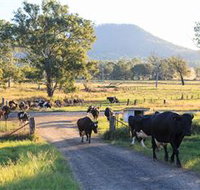 Tommerups Dairy Farmstay - Accommodation Nelson Bay