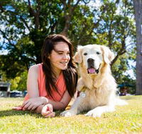 Jacobs Well Tourist Park - Accommodation Nelson Bay