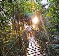 O'Reilly's Rainforest Retreat - Accommodation Nelson Bay