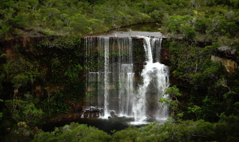 Haggerstone Island Resort - Accommodation Nelson Bay 6