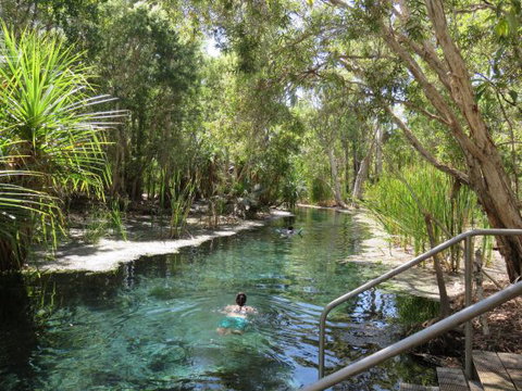 Bitter Springs Cabins And Camping - Accommodation Nelson Bay 6