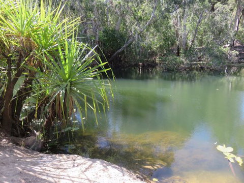 Bitter Springs Cabins And Camping - Accommodation Nelson Bay 7