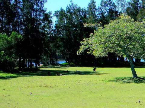 Lake Conjola Waterfront Holiday Park - Accommodation Nelson Bay 2