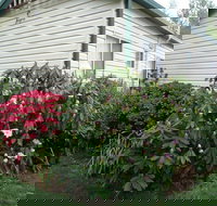 Jenolan Caravan Park - Accommodation Nelson Bay