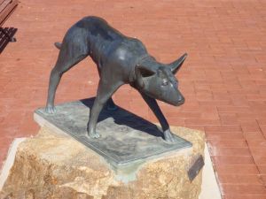 The Ardlethan Kelpie Caravan Park - Accommodation Nelson Bay 0