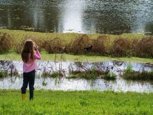 Wilga Hotel - Accommodation Nelson Bay 0