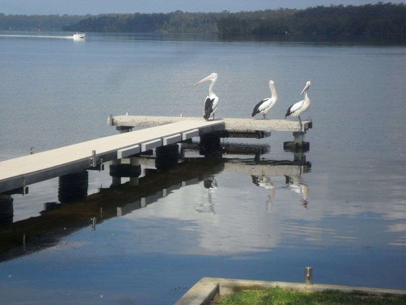 Basin View NSW Accommodation Nelson Bay