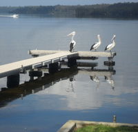 Basin Cabin - Accommodation Nelson Bay