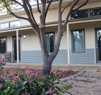 The Grape and Olive in Willunga - Accommodation Nelson Bay