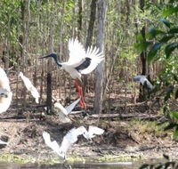 Rakhi Retreat - Accommodation Nelson Bay