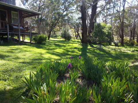Mount Cole Cottages - Accommodation Nelson Bay 8