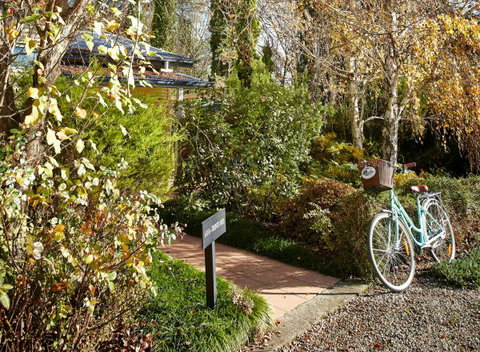 Pizzini's Vineyard Guesthouse - Accommodation Nelson Bay 5