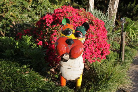 Pizzini's Vineyard Guesthouse - Accommodation Nelson Bay 7