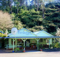 Tarra Valley Caravan Park - Accommodation Nelson Bay