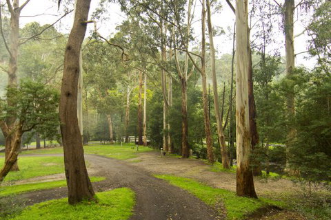 Tarra Valley Caravan Park - Accommodation Nelson Bay 6