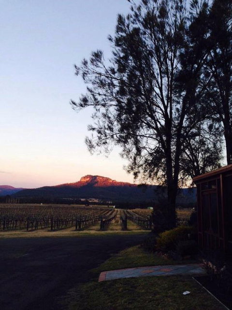 Nightingale Wines Luxury Villas - Accommodation Nelson Bay 1