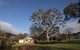 Jamieson Valley Retreat - thumb 7