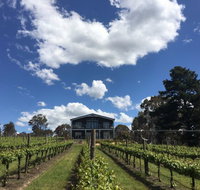 Mortimer's Accommodation amongst the Vines - Accommodation Nelson Bay