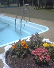 Gunning Motel - Accommodation Nelson Bay 2