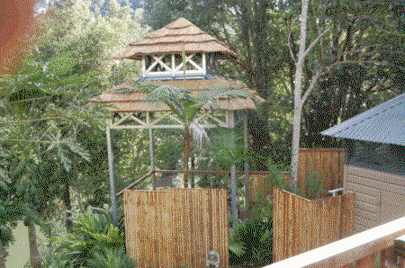 The Old Convent Guesthouse - Accommodation Nelson Bay 3