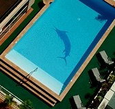 Pacific International Hotel - Accommodation Nelson Bay