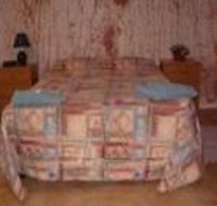 Radeka Downunder Underground Motel And Backpackers Inn - Accommodation Nelson Bay
