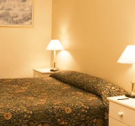 Best Western Abel Tasman Airport Motor Inn - Accommodation Nelson Bay