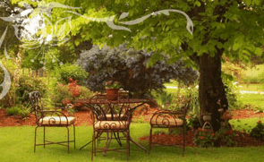 Glencoe Country Bed And Breakfast - Accommodation Nelson Bay 1