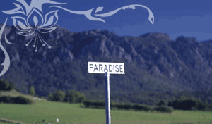 Glencoe Country Bed And Breakfast - Accommodation Nelson Bay 2