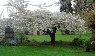 Glencoe Country Bed And Breakfast - Accommodation Nelson Bay 3