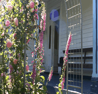 Devonport Bed And Breakfast - Accommodation Nelson Bay