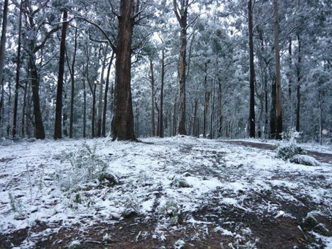High Peaks Cottages - Accommodation Nelson Bay 0
