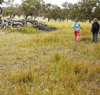 Carnarvon National Park camping - Accommodation Nelson Bay