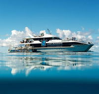 Bundaberg to Lady Musgrave Island Day Cruise - Accommodation Nelson Bay