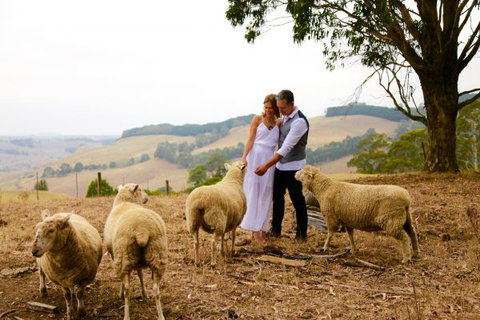 Halcyon Cottage Retreat - Self Contained Accommodation - Nelson Bay Accommodation.com 2