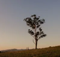 Faulls Ridge Winery - Accommodation Nelson Bay