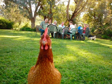Baranduda Homestead B&B Cottages - Nelsons Bay Accommodation 9