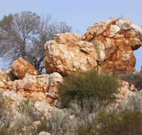 Credo Homestead Camp at Credo Conservation Park - Accommodation Nelson Bay
