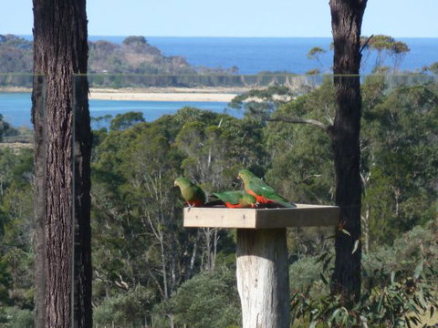 Indigo Couples Retreat Murrah Beach - Nelson Bay Accommodation.com 8