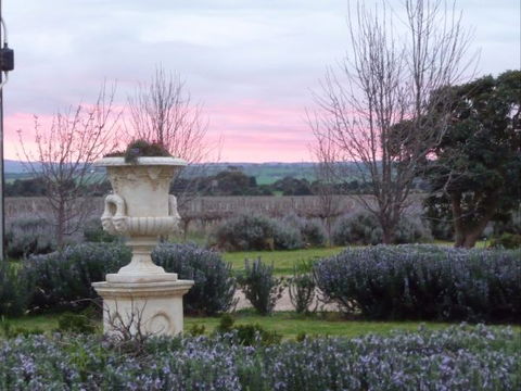 Angas Plains Wines Suites - Accommodation Nelson Bay 3