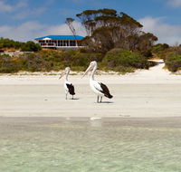 Kangaroo Island Star Beach House - Accommodation Nelson Bay