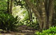 'The Dales' Boutique Bed And Breakfast - thumb 7