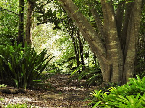 'The Dales' Boutique Bed And Breakfast - Accommodation Nelson Bay 7