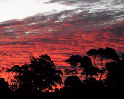 'The Dales' Boutique Bed And Breakfast - Accommodation Nelson Bay 8