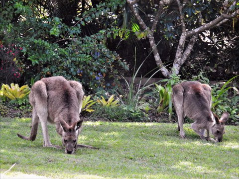 'The Dales' Boutique Bed And Breakfast - Accommodation Nelson Bay 9