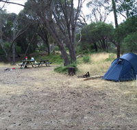 Allports Beach Camping Ground - Accommodation Nelson Bay