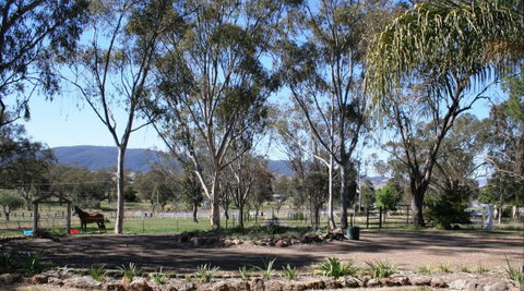BelleBrook - Accommodation Nelson Bay 2