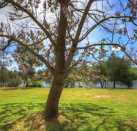 Breakaway Twin Rivers Caravan Park - Accommodation Nelson Bay
