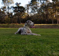 Hunter Valley Retreat - Accommodation Nelson Bay
