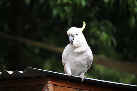 Jamieson Caravan Park - Accommodation Nelson Bay 2